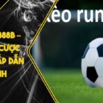 Kèo Rung 888B – Hình Thức Cược Trực Tiếp Hấp Dẫn Kịch Tính